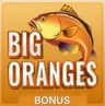 Grandi Arance